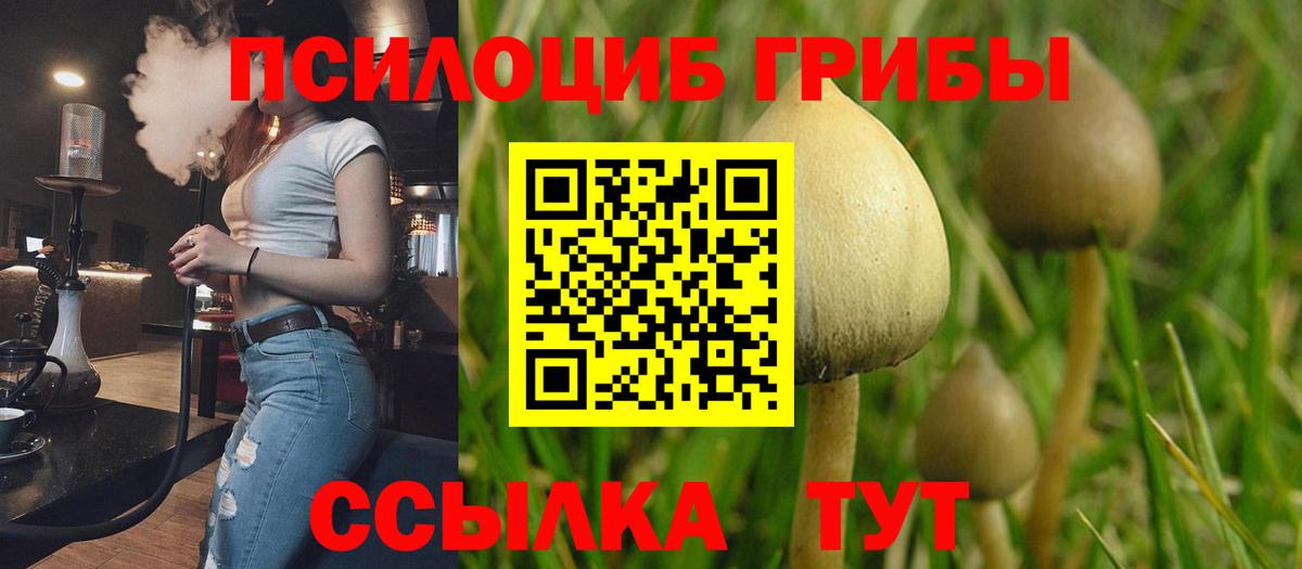 Малгобек  Галлюциногенные грибы мухоморы  Вход с VPN 